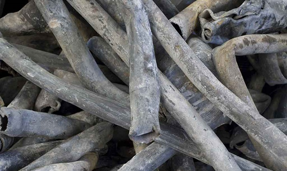 Chatarra de plomo y compra de fierro viejo