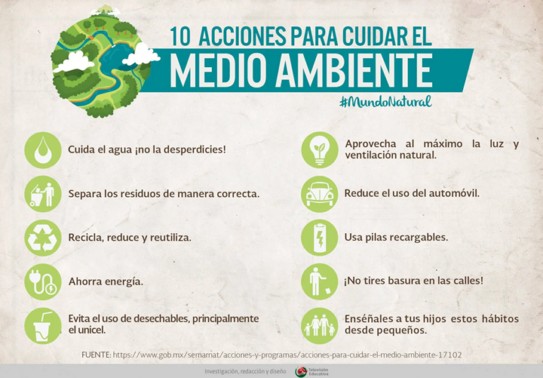Acciones Individuales Y Colectivas En Apoyo Al Medio Ambiente